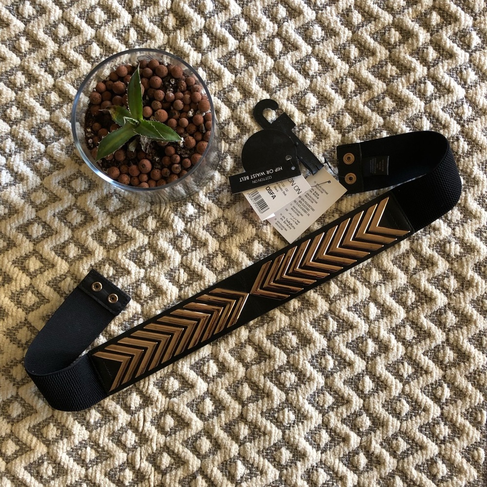 NWT belt